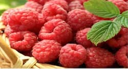 5 high-fibre foods you should eat everyday