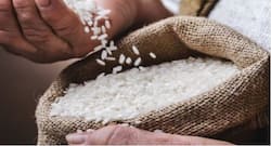 White rice VS brown rice: Which one is better?