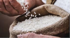 White rice VS brown rice: Which one is better?