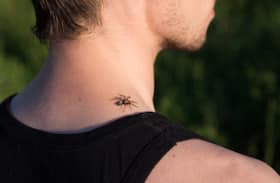 Are you afraid of spiders? You may be suffering from arachnophobia Are you afraid of spiders? You may be suffering from arachnophobia