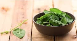7 reasons why you must consume holy basil or tulsi