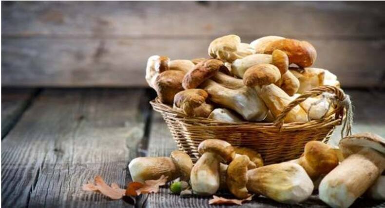 Relish this yummy mushroom vol-au-vents recipe