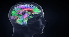 3 bad habits that can affect your memory + solutions to tackle it