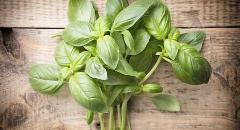 Relish this yummy mushroom vol-au-vents recipe