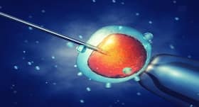 Demand for Assisted Reproductive Therapy is on a rise, say gynaecologists