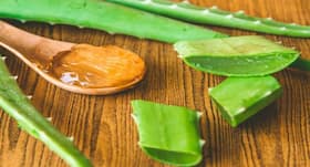 Aloe vera: 6 ways your skin can benefit immensely from this natural wonder Aloe vera: 6 ways your skin can benefit immensely from this natural wonder
