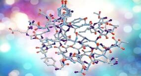 Scientists discover new antibiotic candidates in human body Scientists discover new antibiotic candidates in human body