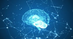 Did you know? Brain proteins help to understand epilepsy