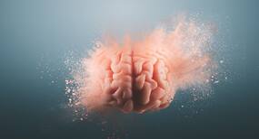 What exactly happens in the human brain when injustice is felt?