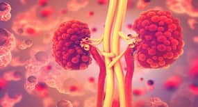 Stress, painkillers, contrast dyes used in imaging can make you prone to chronic kidney diseases