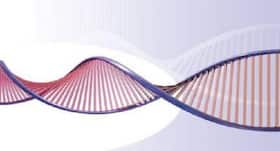 6.6 million DNAs are the clues to these 5 health diseases
