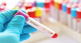 Dengue Havoc In West Bengal: Cases Increased Upto 7 Times In August