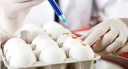 कहीं आप खराब अंडे तो नहीं खा रहे ? ऐसे करें चेक अंडा ताजा है या खराब