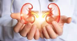 5 foods that keep your kidneys healthy