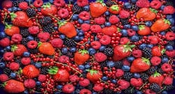 Health benefits of berries you didn't know about