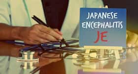 Patna state witnesses 17 Japanese Encephalitis and 7 dengue cases so far