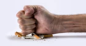 Top five herbs that can help you quit smoking