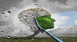 Want to challenge ageing? Now you have a way