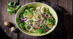 Top 5 health benefits of sprouts