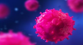 Viruses can alter human body's response to vaccines, pathogens