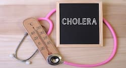 WHO: Yemen at risk of new deadly cholera epidemic