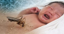 Know how Zika virus can affect your baby before and birth
