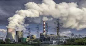 Did you know? Pollution is the invisible killer and food the visible healer