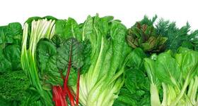 Top 5 foods which are immunity boosters and help fight cold and flu
