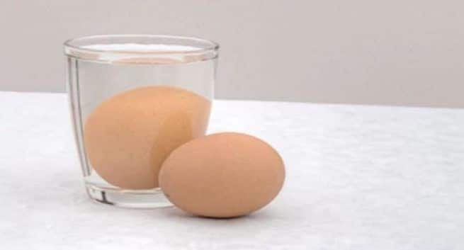 best-Eggs