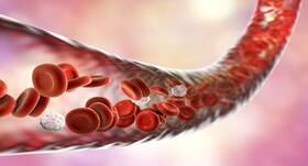Two-dimensional clay to aid in new blood vessel formation