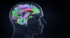 Brain is capable of ignoring bias and make rational calls, says study Brain is capable of ignoring bias and make rational calls, says study