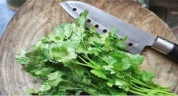 धनिया पत्ती से होने वाले ये हैं 10 फायदे