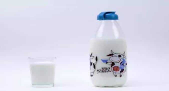 cow milk to baby1
