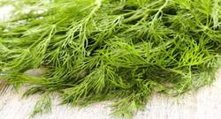  'शतपुष्प' के पत्तों से वाकिफ़ हैं आप ?  डायबिटीज़ में भी हैं लाभकारी