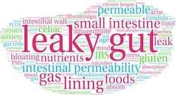 Top 7 foods for a leaky gut