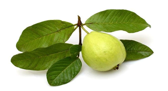 Guava: The many health benefits of it + 2 fantastic recipes |  