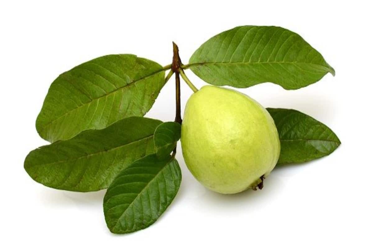 Have a sip of guava leaf tea and keep healthy and glowing | TheHealthSite.com