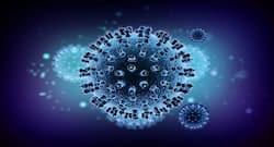 Scientists find how herpes virus replicates itself, a cure very likely too