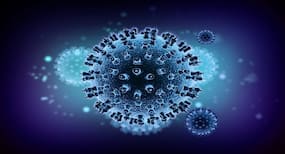 Scientists find how herpes virus replicates itself, a cure very likely too