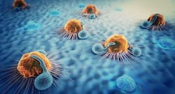 Research finds new insights into ways to use cell metabolism to treat cancer