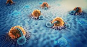 Research finds new insights into ways to use cell metabolism to treat cancer