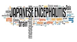 Japanese Encephalitis: Claims 66 lives in Assam this year, know what it is