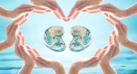 Did you know? Environmental pollutants could weaken your kidneys