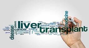 Normothermic Machine Perfusion keeps a liver alive outside the body for a day, boosts up success rates of transplant