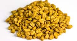 Want to lose weight? Consume this wonder water everyday morning on an empty stomach