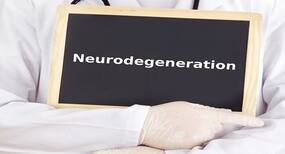 This study paves way for assessing new drugs and therapies to combat nerve cell loss