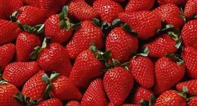 Are you suffering from inflammatory bowel disease? Eat strawberries