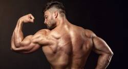 5 exercises of titan triceps