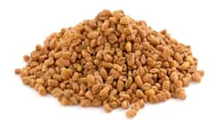 Know how fenugreek seeds can be beneficial for your hair