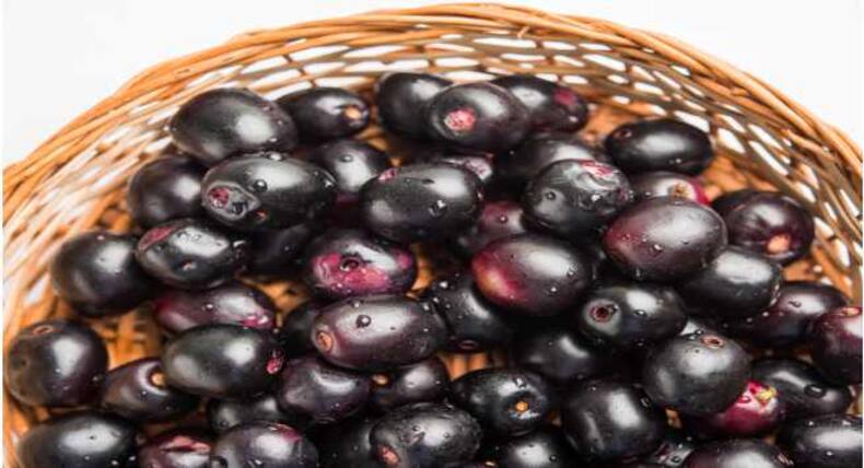 Must try: Jamun mint popsicle recipe
